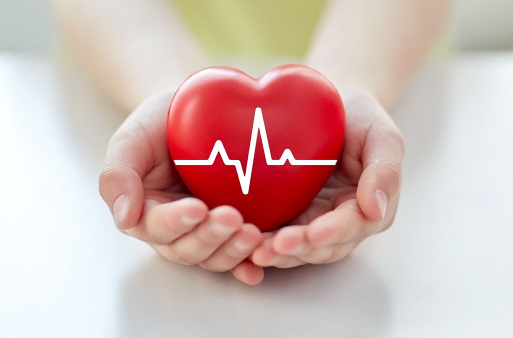Hands cupping a red heart with a white heartbeat line